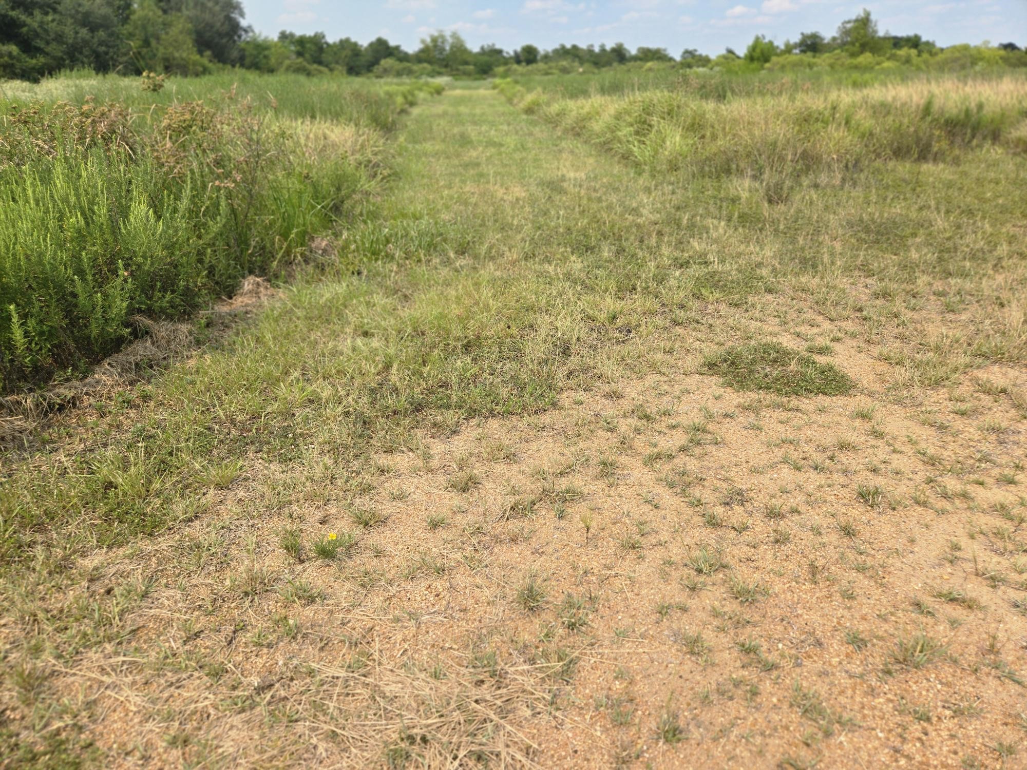 575 North Austin Road Eagle Lake, TX 77434 - Photo 2 of 17