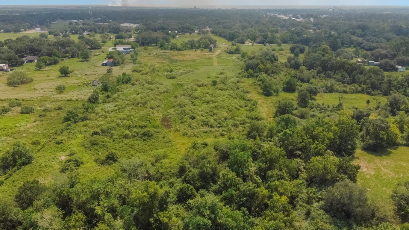 575 North Austin Road Eagle Lake, TX 77434 - Photo 9 of 17 a view of a forest with a houses