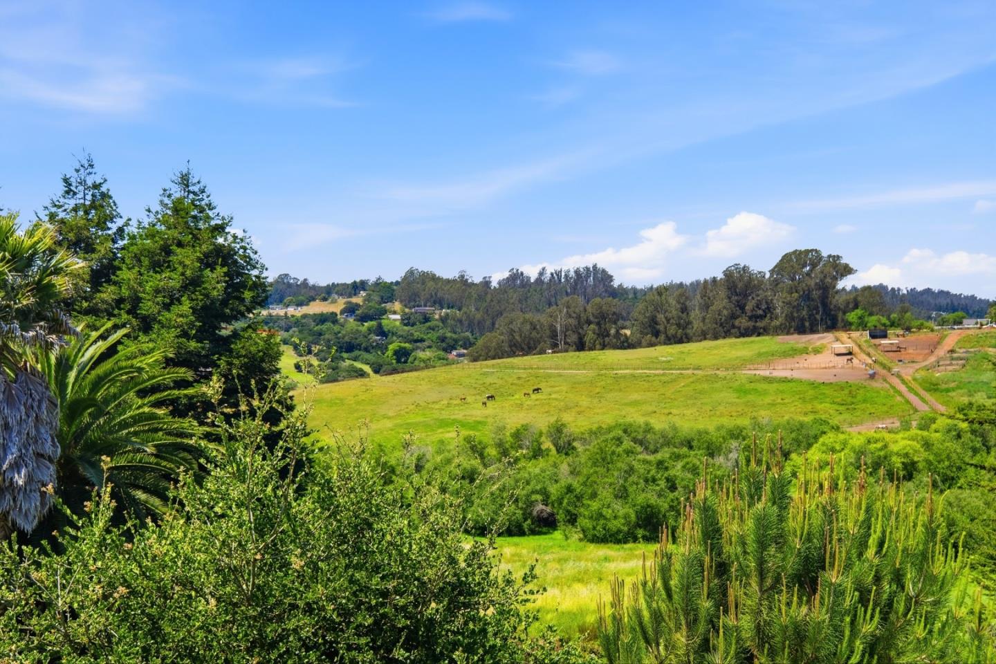 215 Manfre Road Watsonville, CA 95076 - Photo 29 of 36 a view of a green field