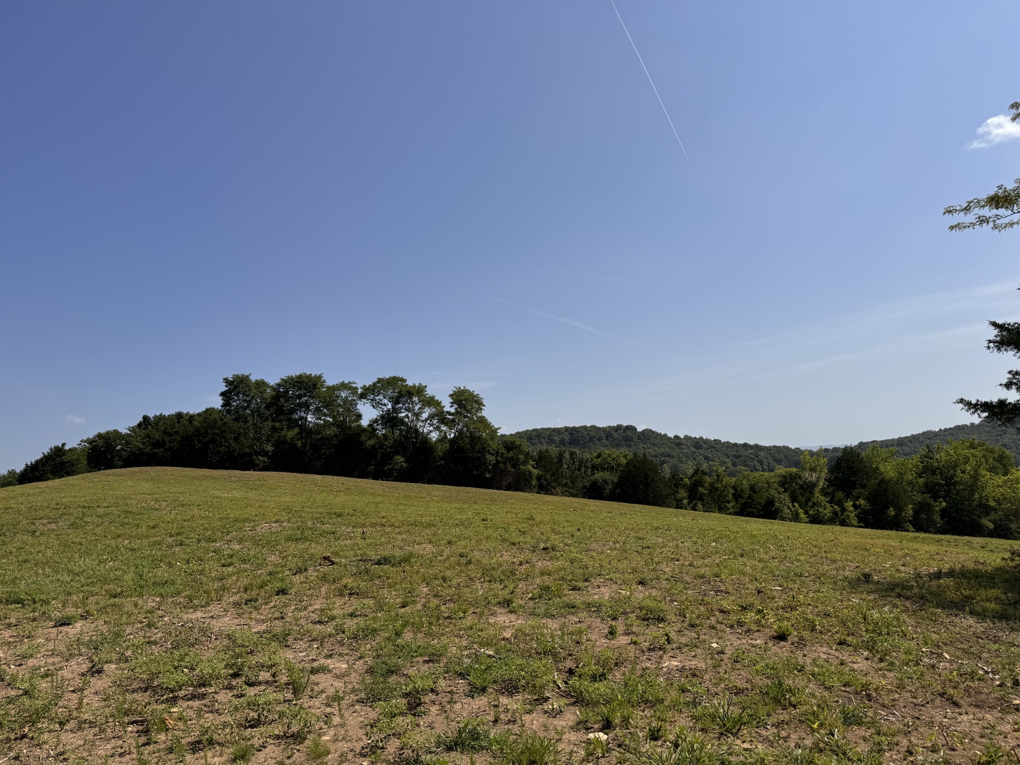 0 Pete Alsup Road Lascassas, TN 37085 - Photo 37 of 40 Gallery Image 37