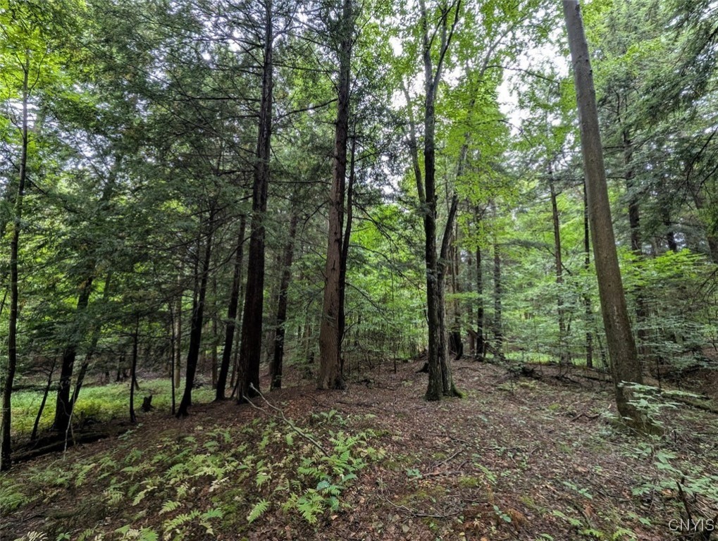 417 State Route Addison, NY 14801 - Photo 12 of 33