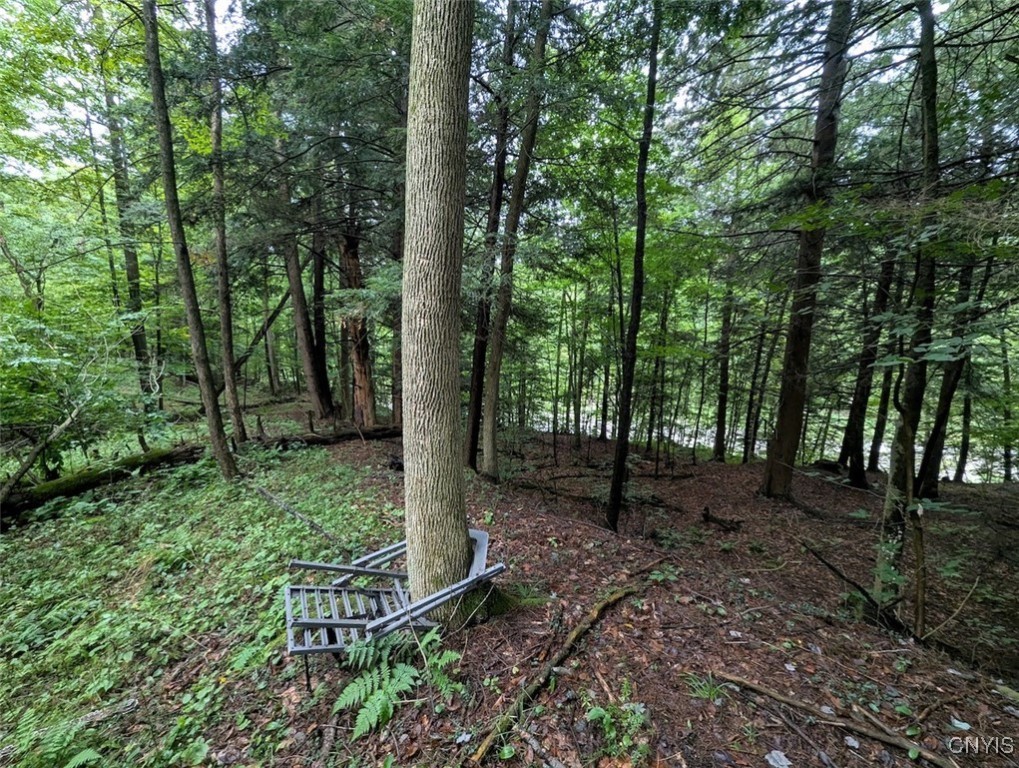 417 State Route Addison, NY 14801 - Photo 13 of 33