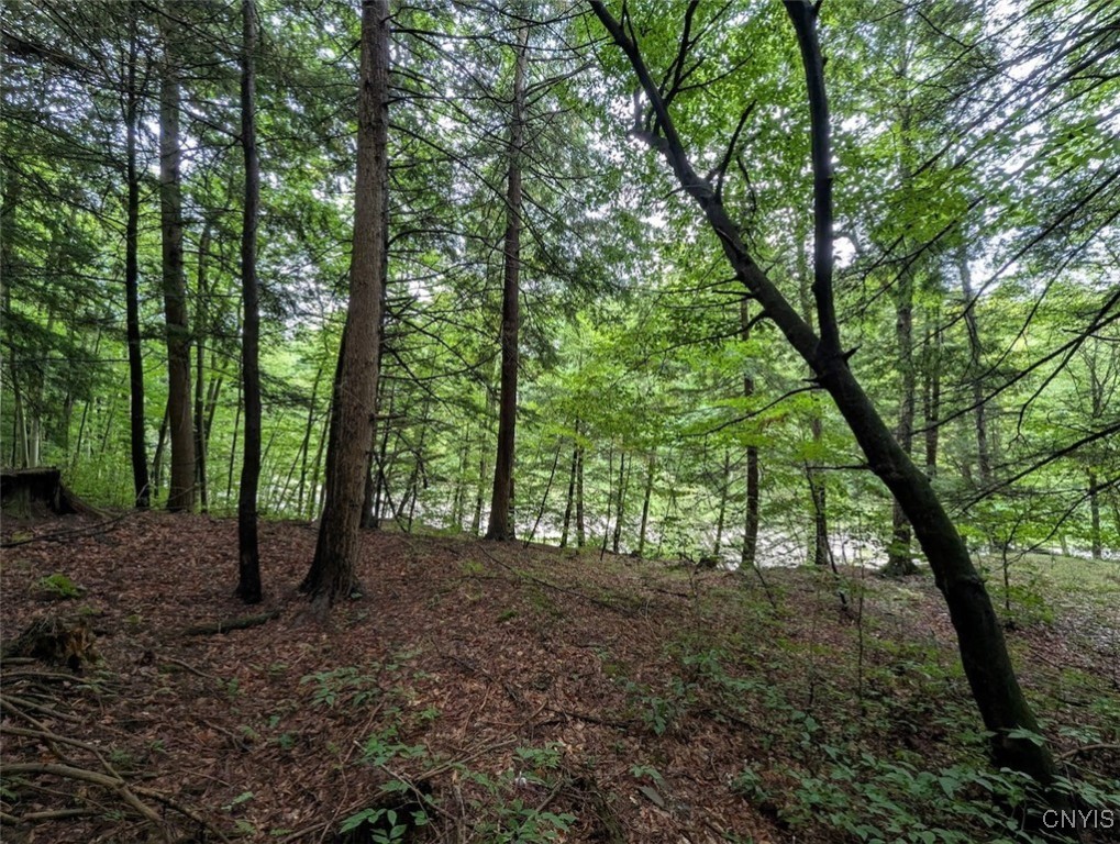 417 State Route Addison, NY 14801 - Photo 14 of 33