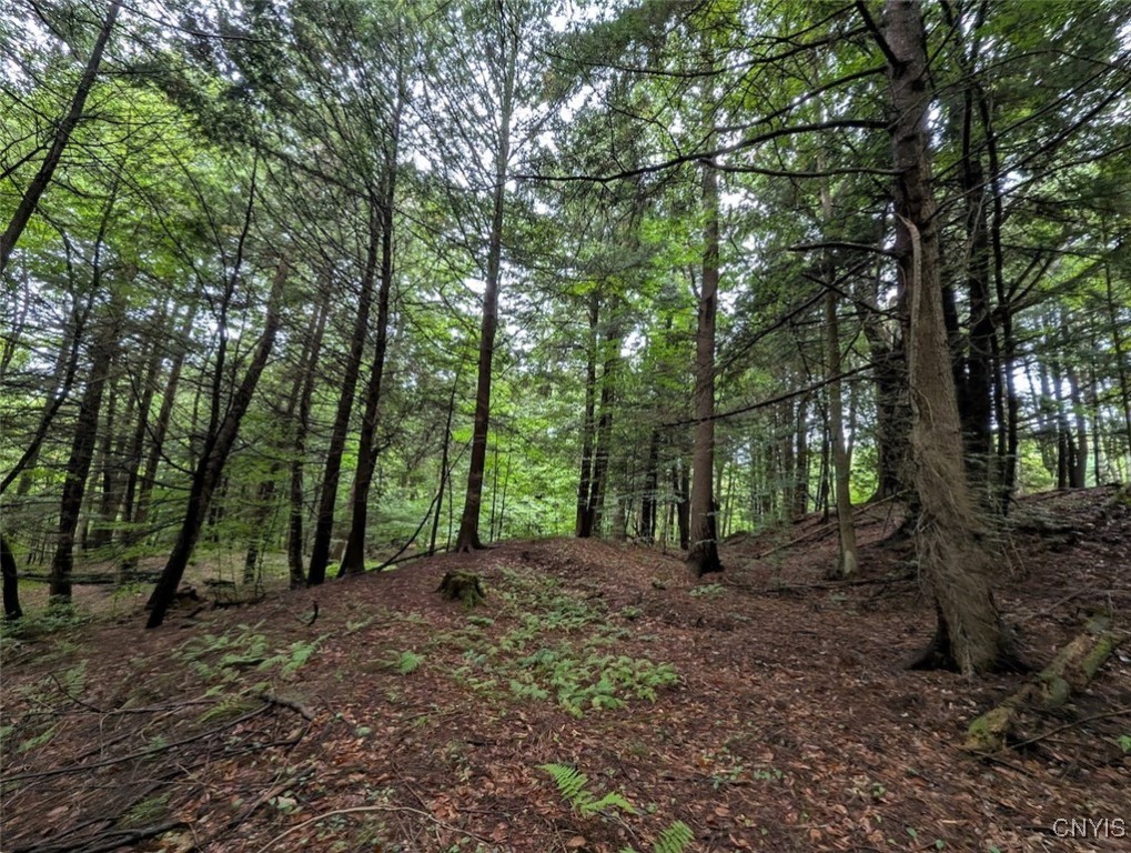 417 State Route Addison, NY 14801 - Photo 15 of 33