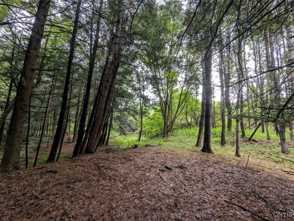 417 State Route Addison, NY 14801 - Photo 16 of 33