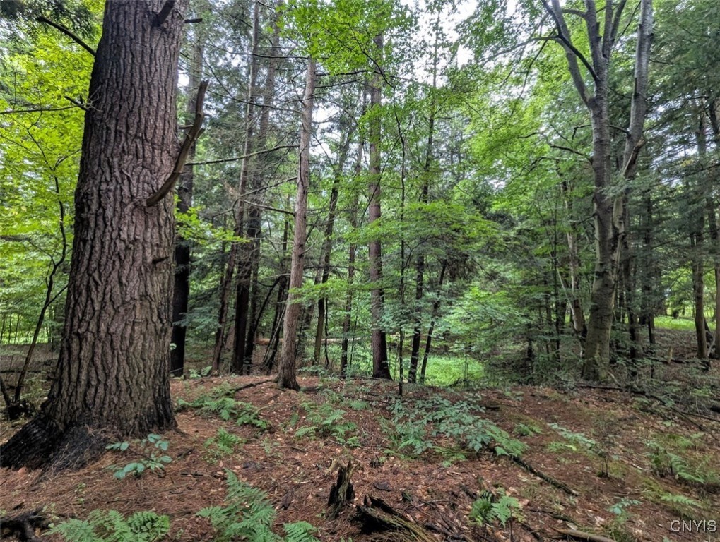 417 State Route Addison, NY 14801 - Photo 18 of 33