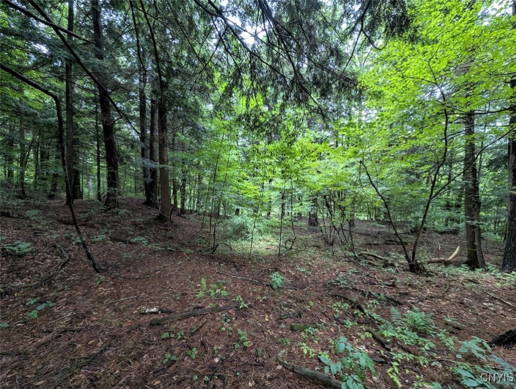 417 State Route Addison, NY 14801 - Photo 19 of 33