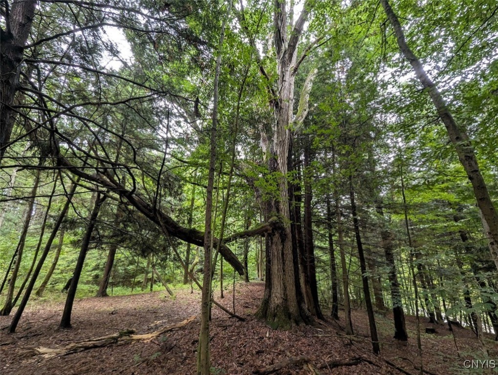 417 State Route Addison, NY 14801 - Photo 20 of 33