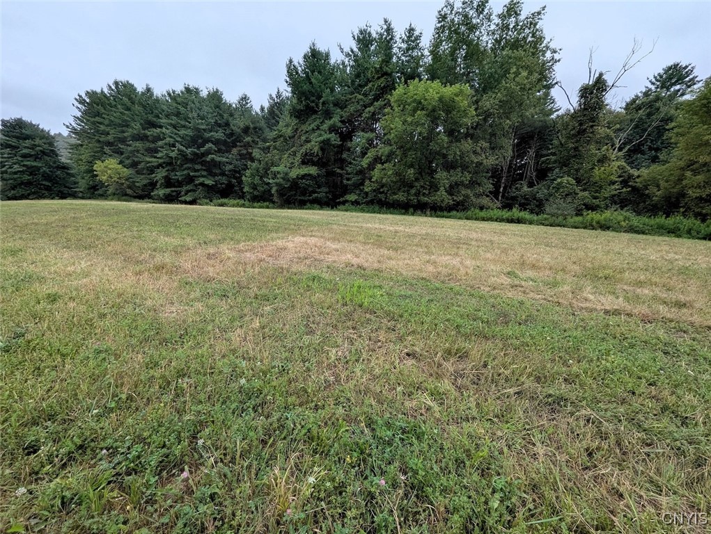 417 State Route Addison, NY 14801 - Photo 2 of 33