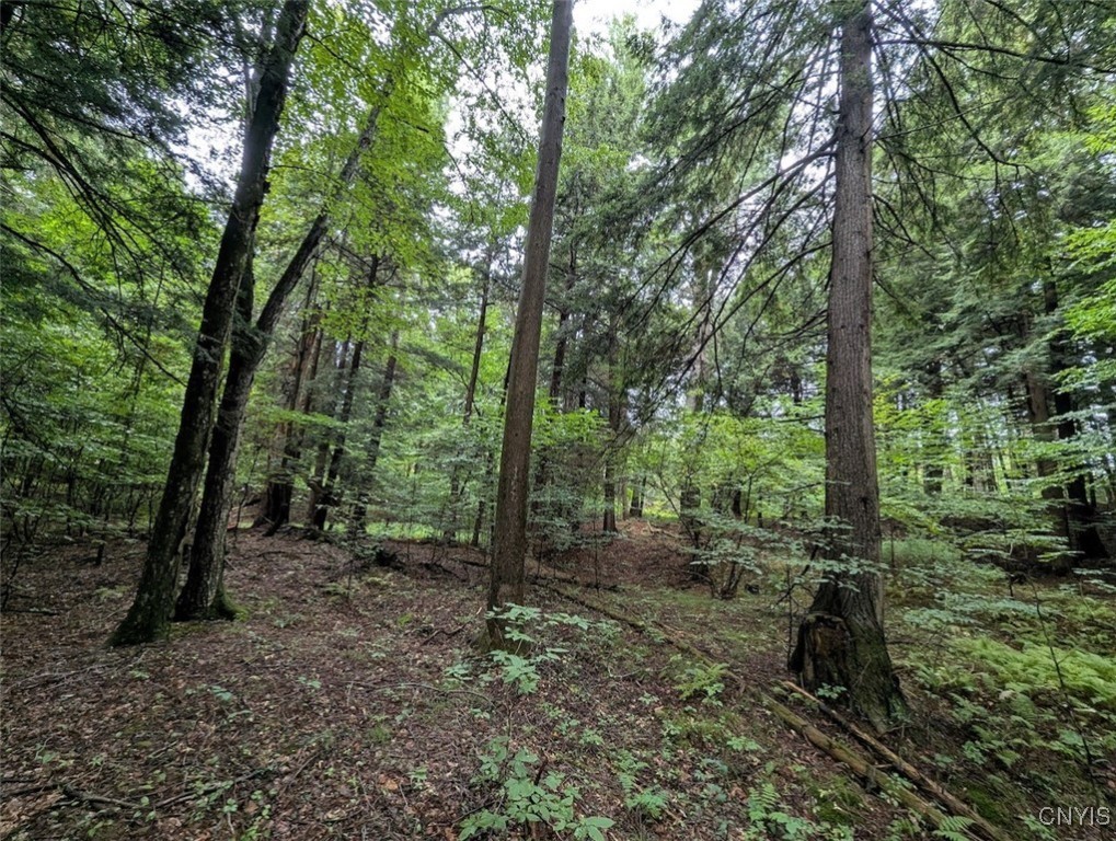 417 State Route Addison, NY 14801 - Photo 21 of 33