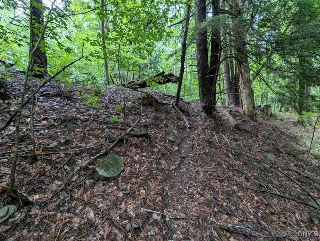 417 State Route Addison, NY 14801 - Photo 22 of 33