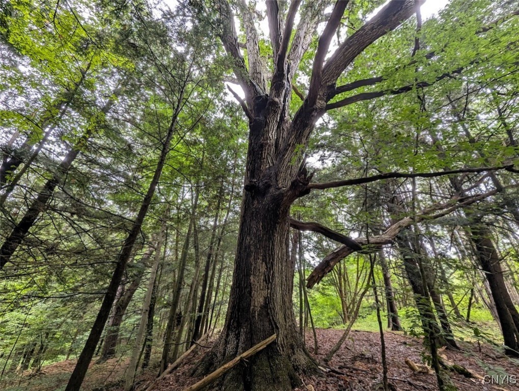 417 State Route Addison, NY 14801 - Photo 23 of 33