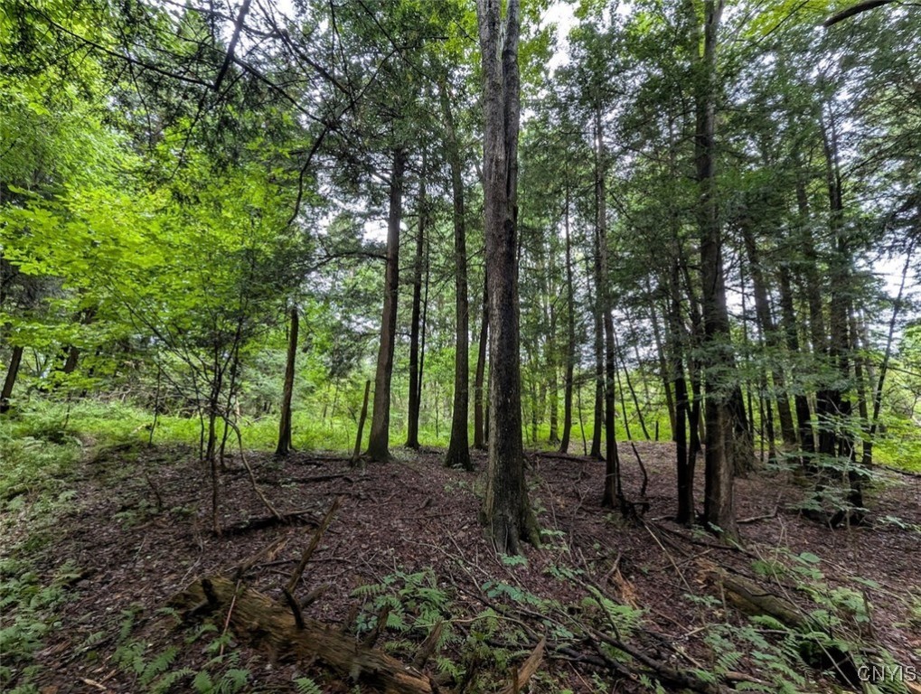 417 State Route Addison, NY 14801 - Photo 24 of 33