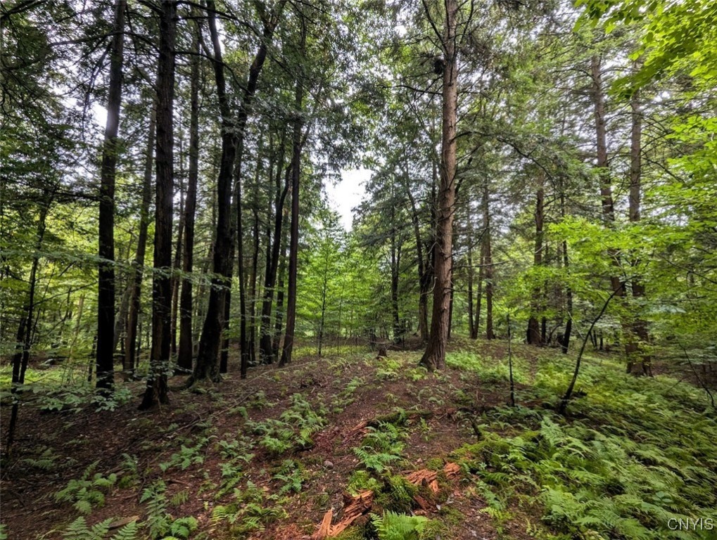 417 State Route Addison, NY 14801 - Photo 25 of 33