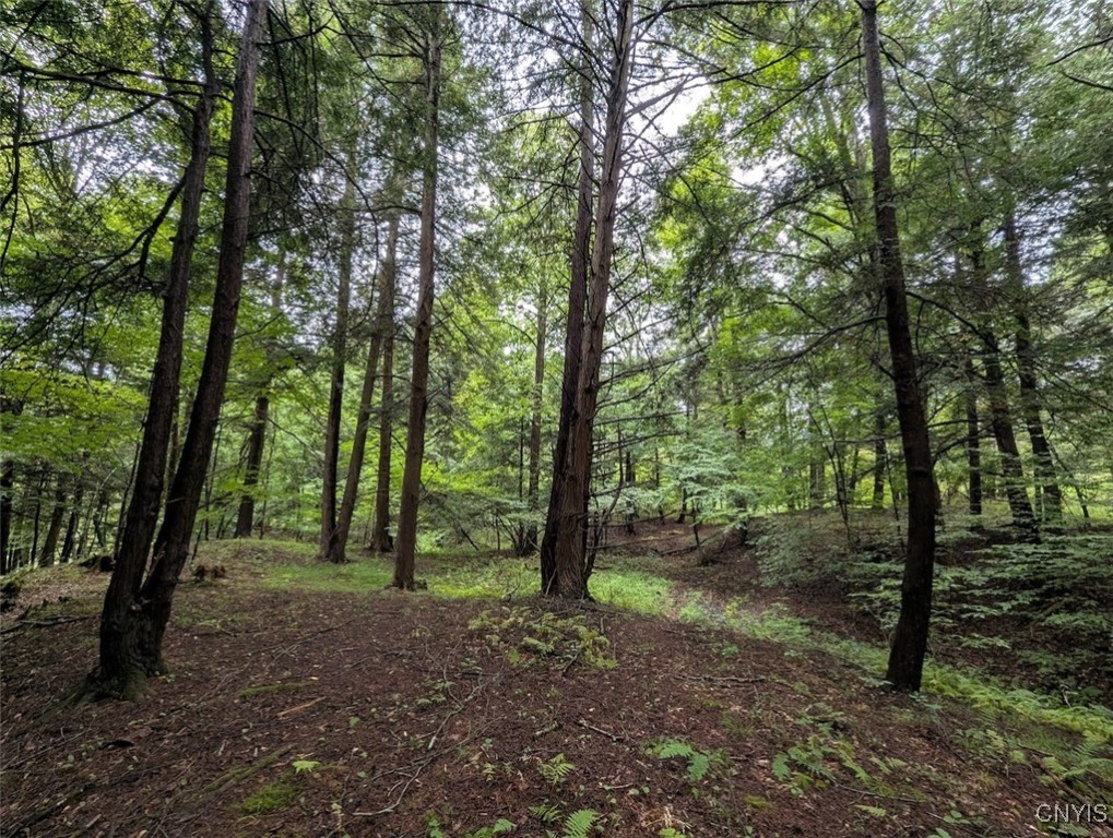 417 State Route Addison, NY 14801 - Photo 26 of 33