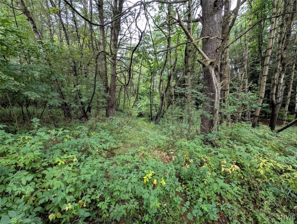 417 State Route Addison, NY 14801 - Photo 27 of 33