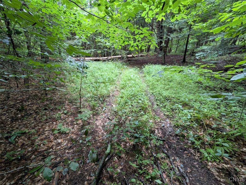 417 State Route Addison, NY 14801 - Photo 28 of 33