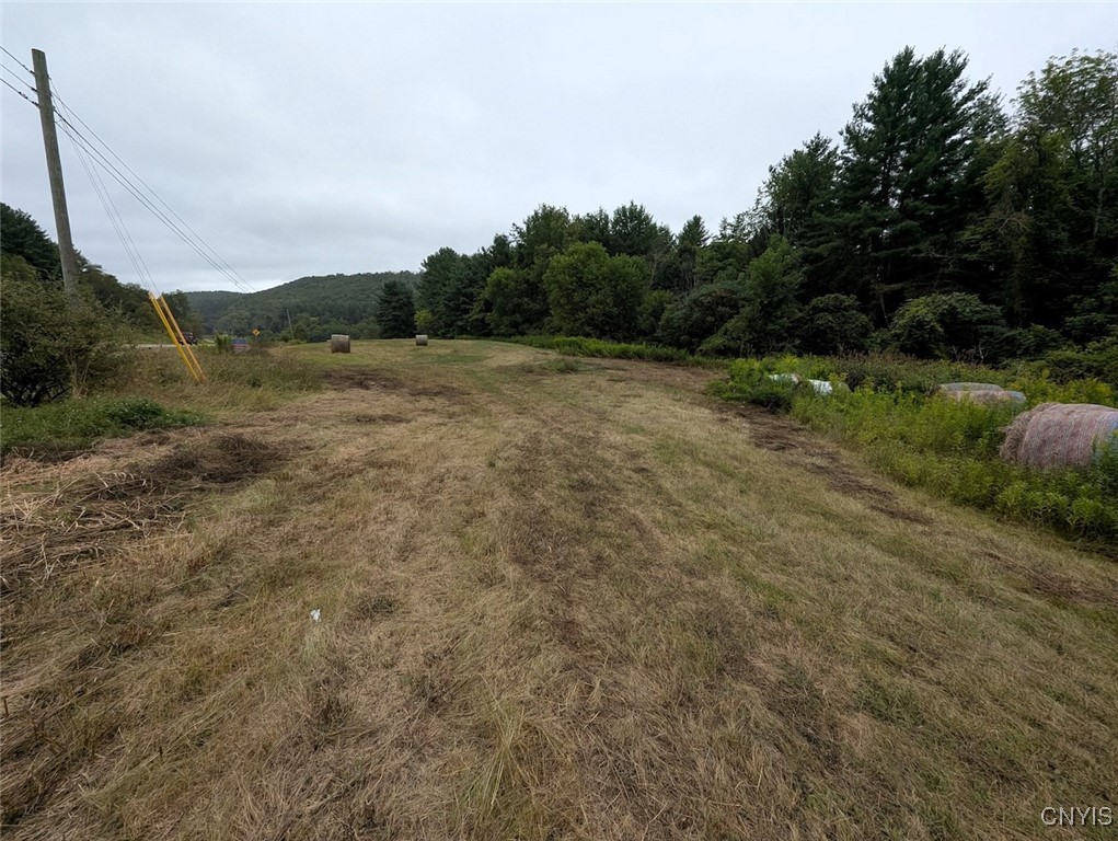 417 State Route Addison, NY 14801 - Photo 30 of 33