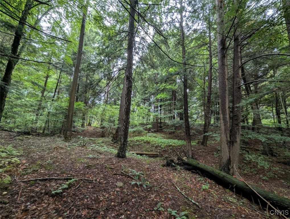 417 State Route Addison, NY 14801 - Photo 4 of 33