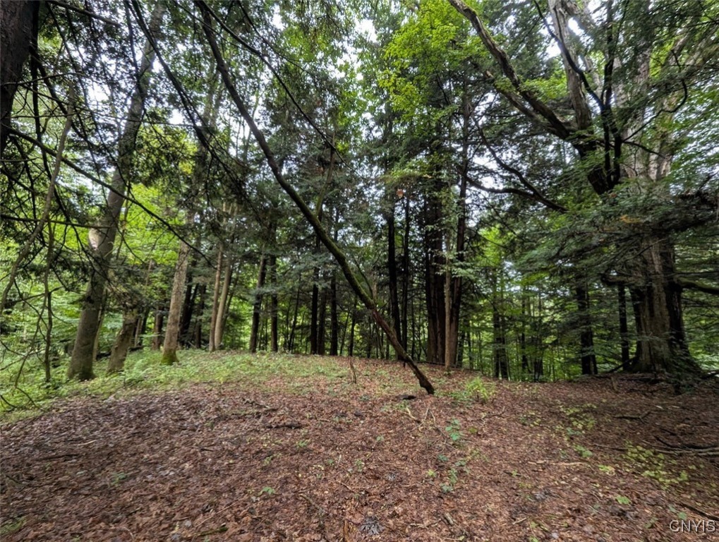 417 State Route Addison, NY 14801 - Photo 5 of 33