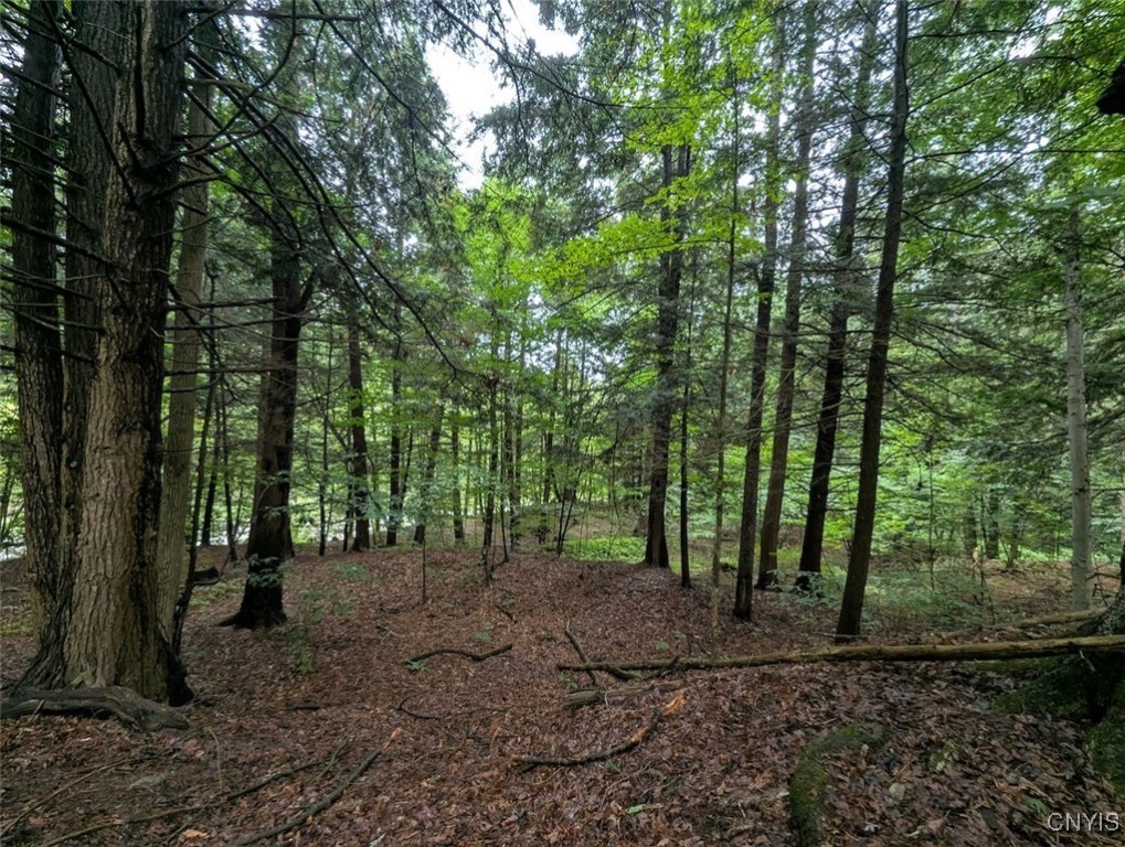 417 State Route Addison, NY 14801 - Photo 6 of 33