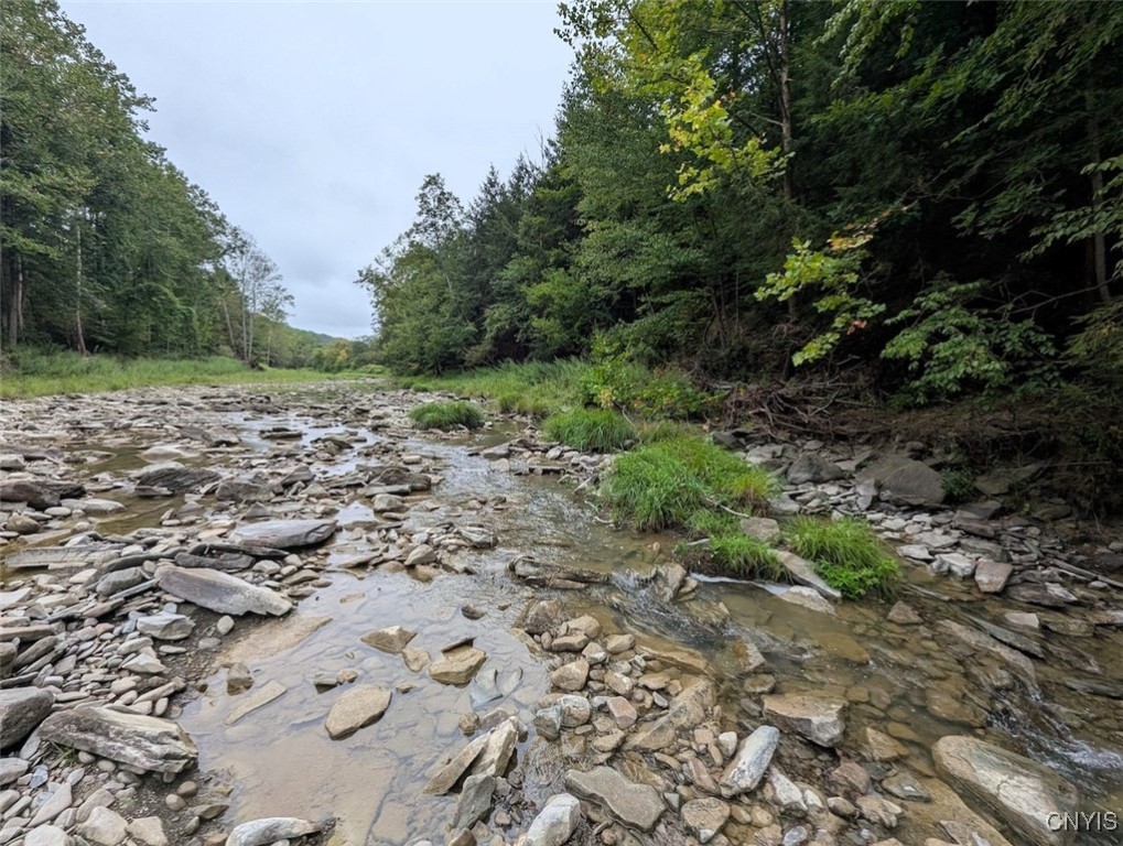 417 State Route Addison, NY 14801 - Photo 9 of 33