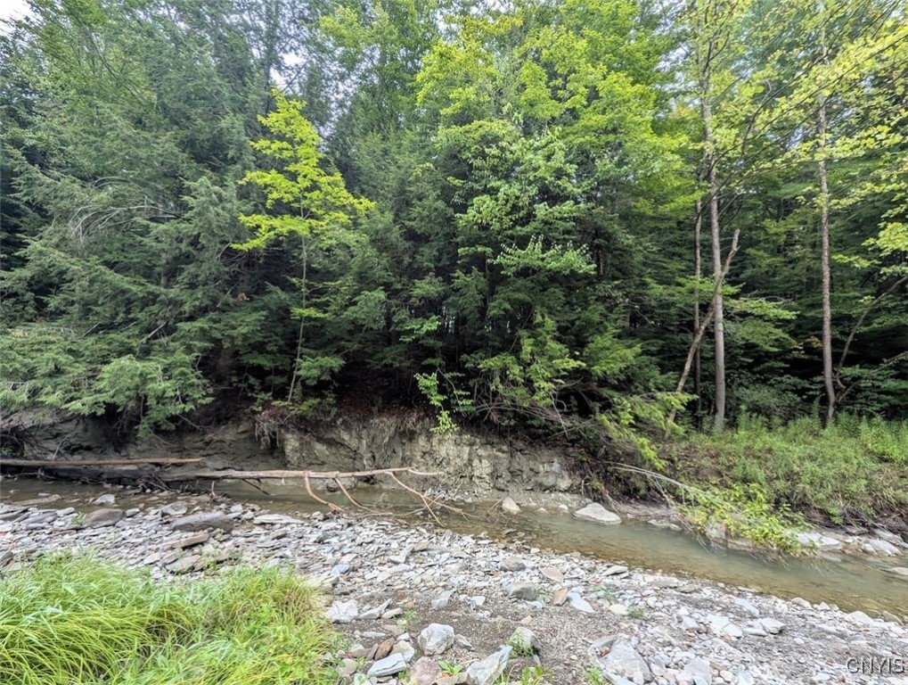 417 State Route Addison, NY 14801 - Photo 10 of 33