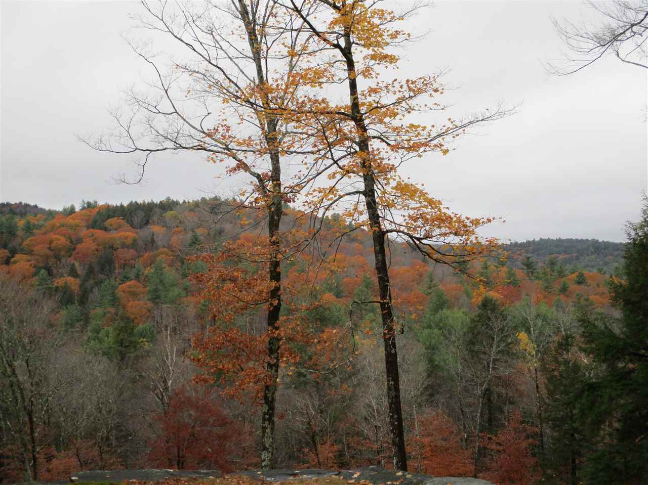 155 Grout Road Newfane, VT 05345 - Photo 31 of 35