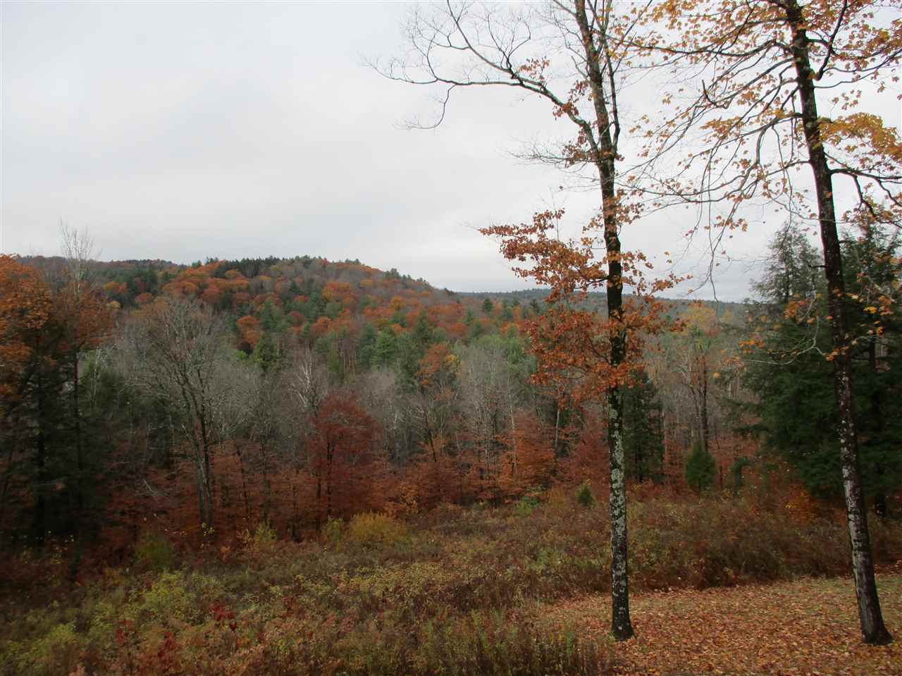 155 Grout Road Newfane, VT 05345 - Photo 34 of 35
