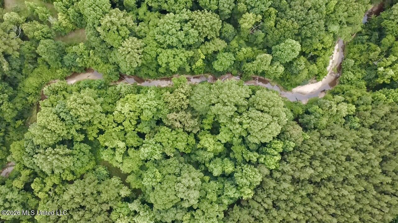 8119 Dry Grove Road Raymond, MS 39154 - Photo 29 of 45 2026-06-08-17-37-49-280