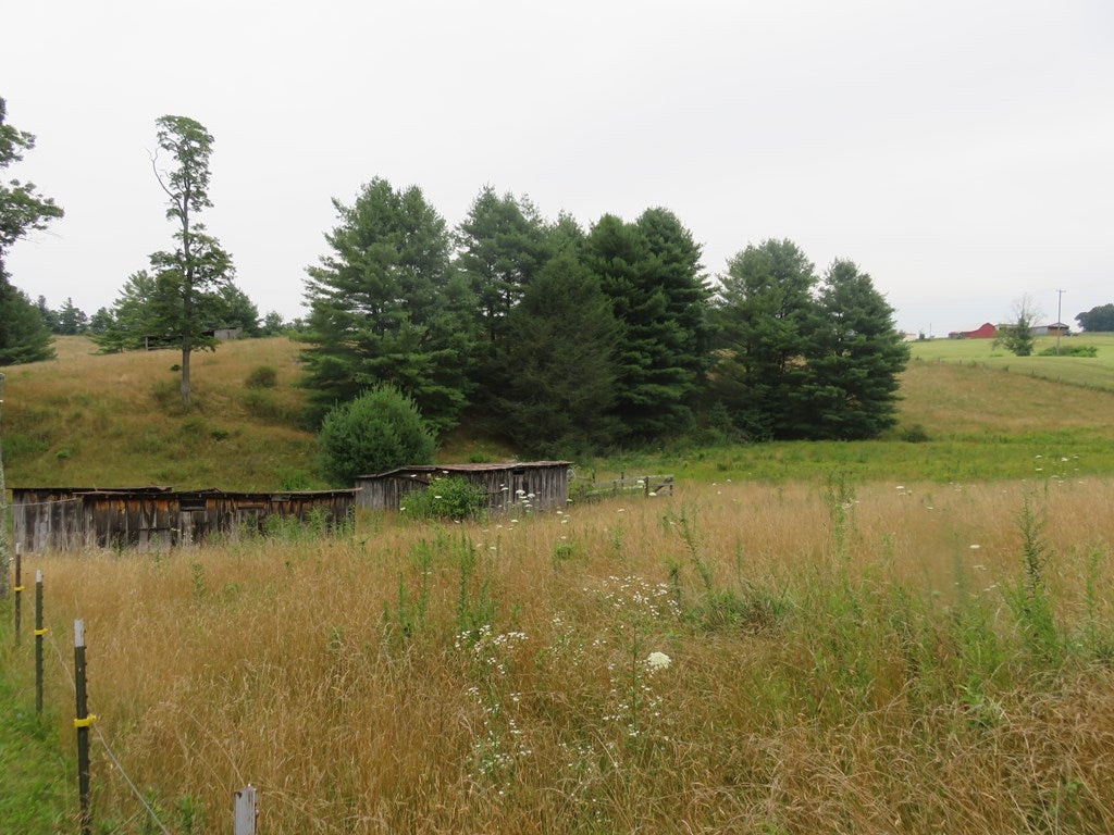 1905 Keno Road Fancy Gap, VA 24328 - Photo 20 of 46 Gallery Image 20