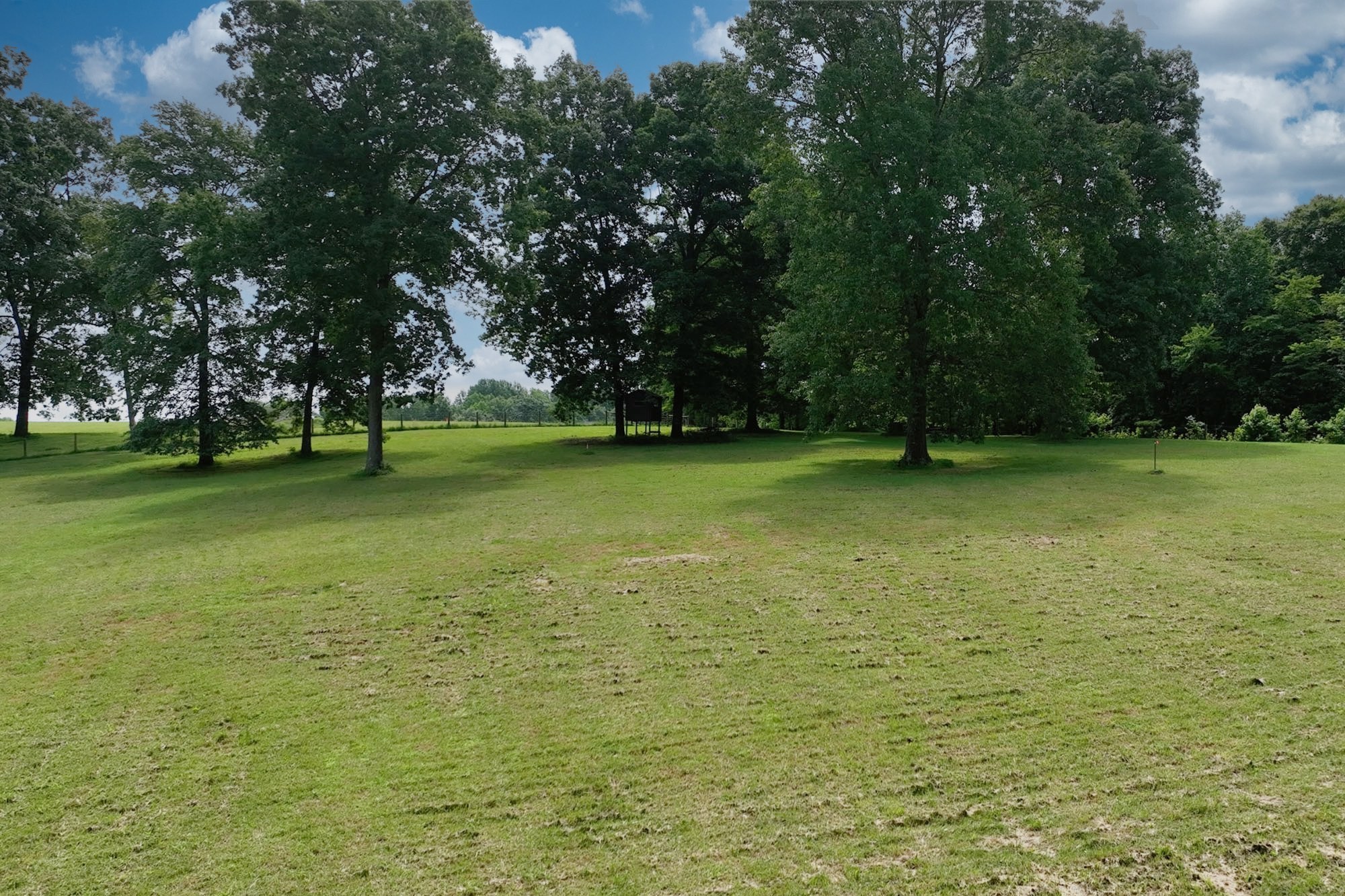 0 Hog Back Ridge Road Bethpage, TN 37022 - Photo 1 of 39 a view of a green field with trees in the background