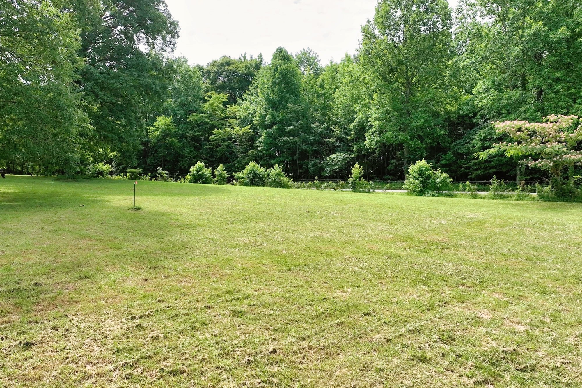 0 Hog Back Ridge Road Bethpage, TN 37022 - Photo 11 of 39 a view of a green field with trees in the background