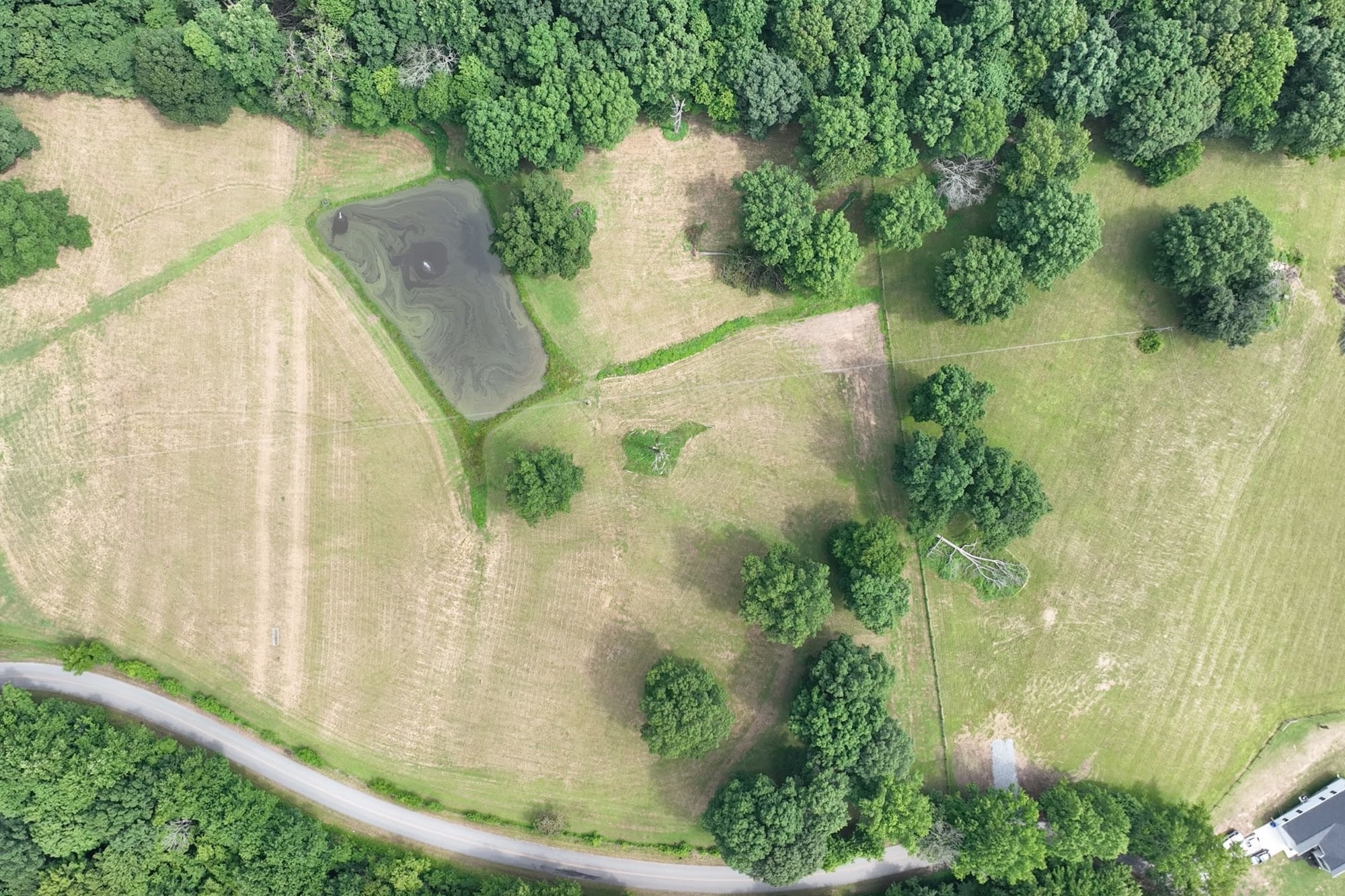 0 Hog Back Ridge Road Bethpage, TN 37022 - Photo 12 of 39 a view of fountain in a backyard