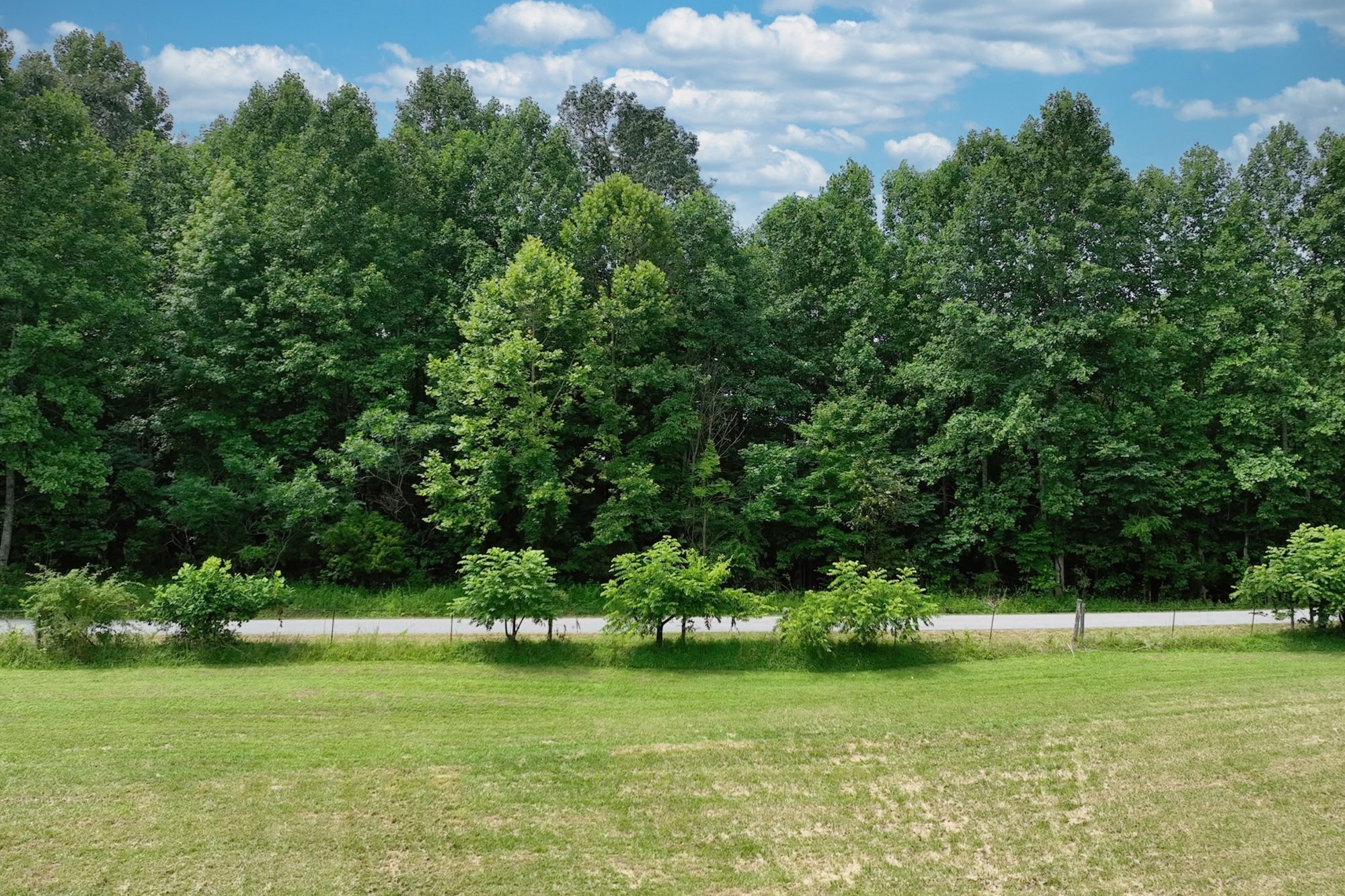 0 Hog Back Ridge Road Bethpage, TN 37022 - Photo 20 of 39 a view of a garden with a bench