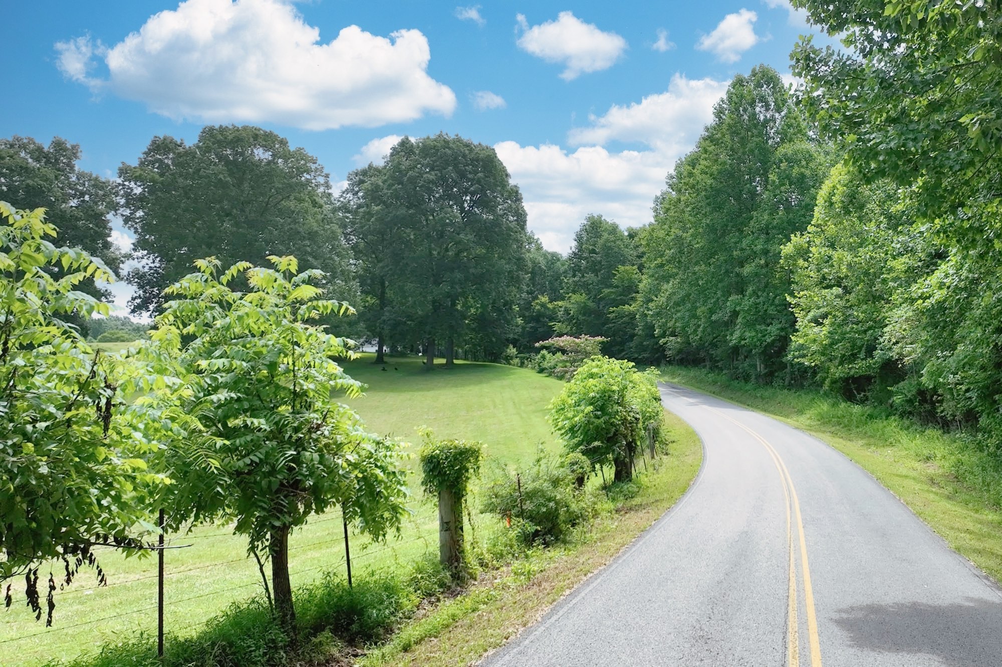 0 Hog Back Ridge Road Bethpage, TN 37022 - Photo 21 of 39 a view of a garden