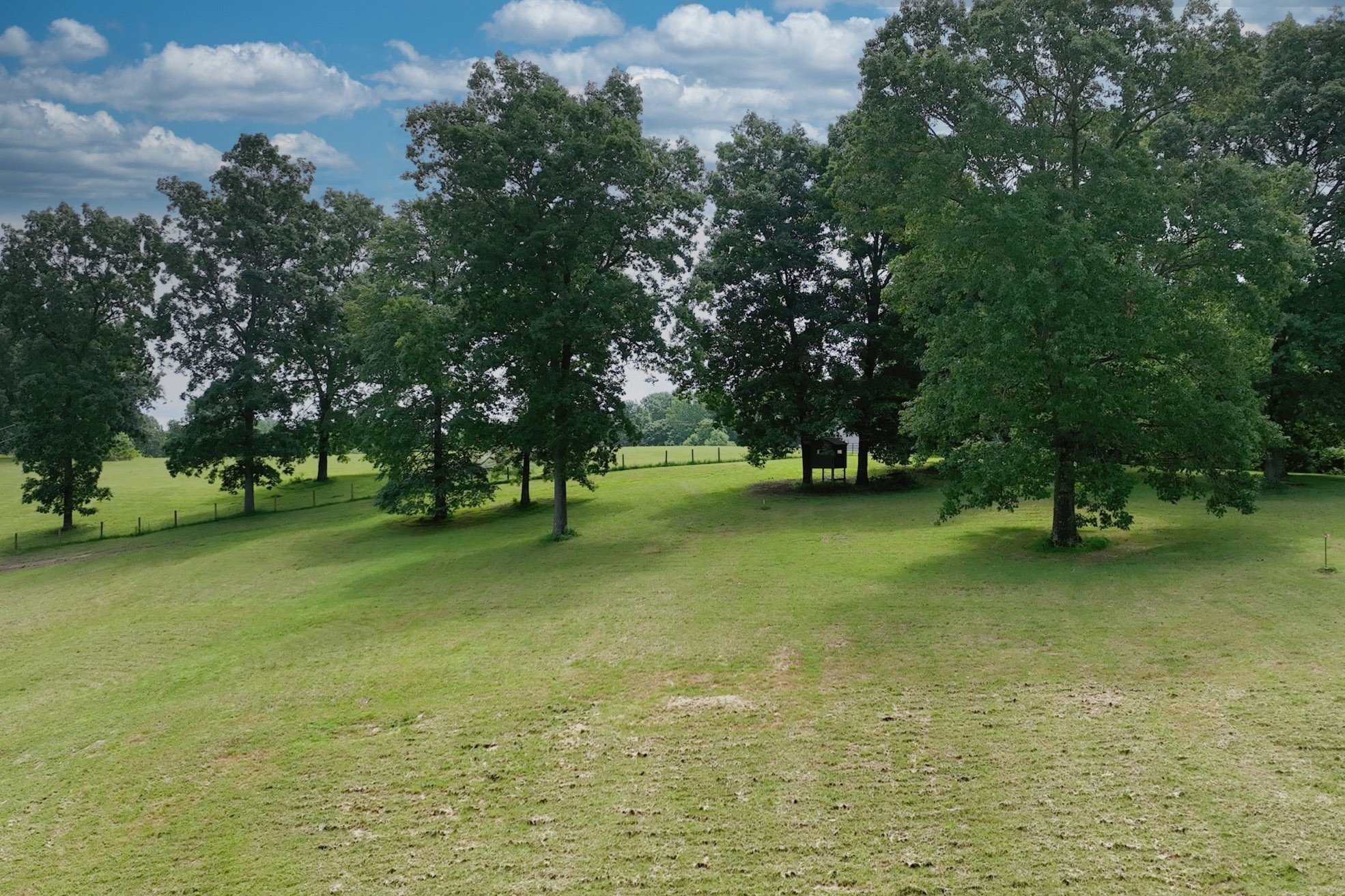 0 Hog Back Ridge Road Bethpage, TN 37022 - Photo 24 of 39 a view of outdoor space with green field and trees