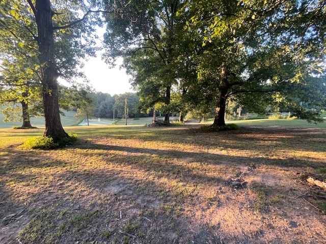 0 Hog Back Ridge Road Bethpage, TN 37022 - Photo 27 of 39 a view of a yard with a large tree