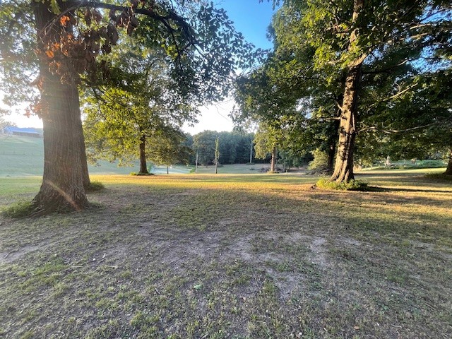 0 Hog Back Ridge Road Bethpage, TN 37022 - Photo 28 of 39 a view of a yard with large trees
