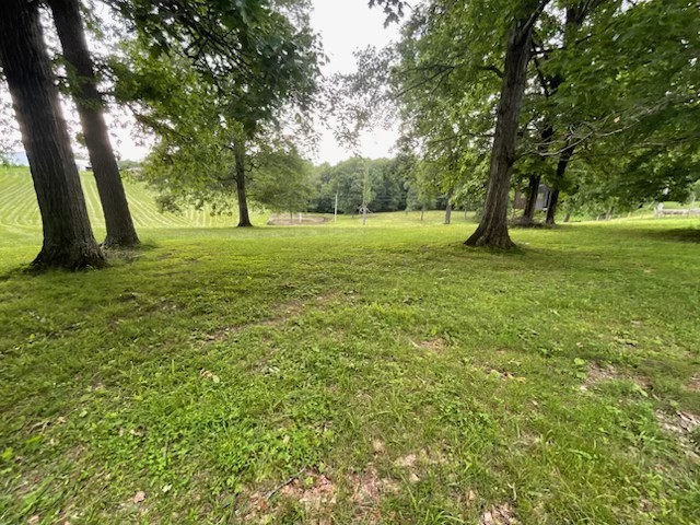0 Hog Back Ridge Road Bethpage, TN 37022 - Photo 3 of 39 a view of outdoor space with a garden and trees