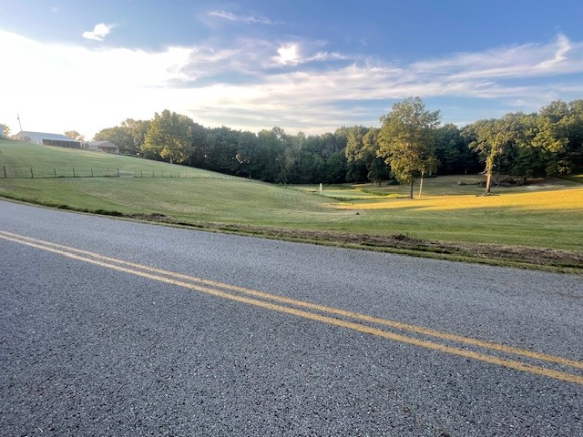 0 Hog Back Ridge Road Bethpage, TN 37022 - Photo 36 of 39 a view of a big yard with potted plants