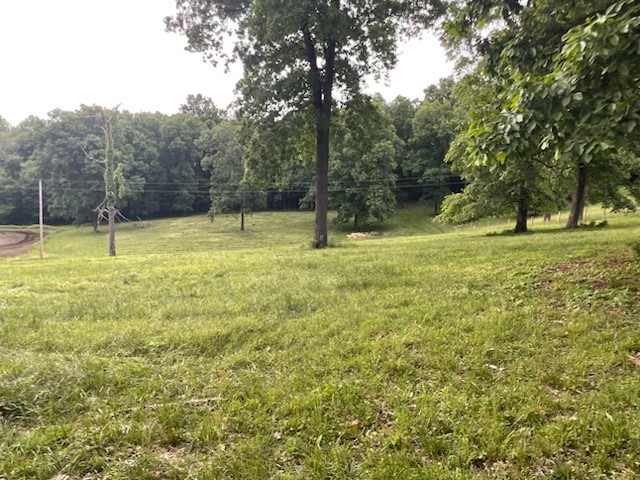 0 Hog Back Ridge Road Bethpage, TN 37022 - Photo 4 of 39 a view of a yard with a tree