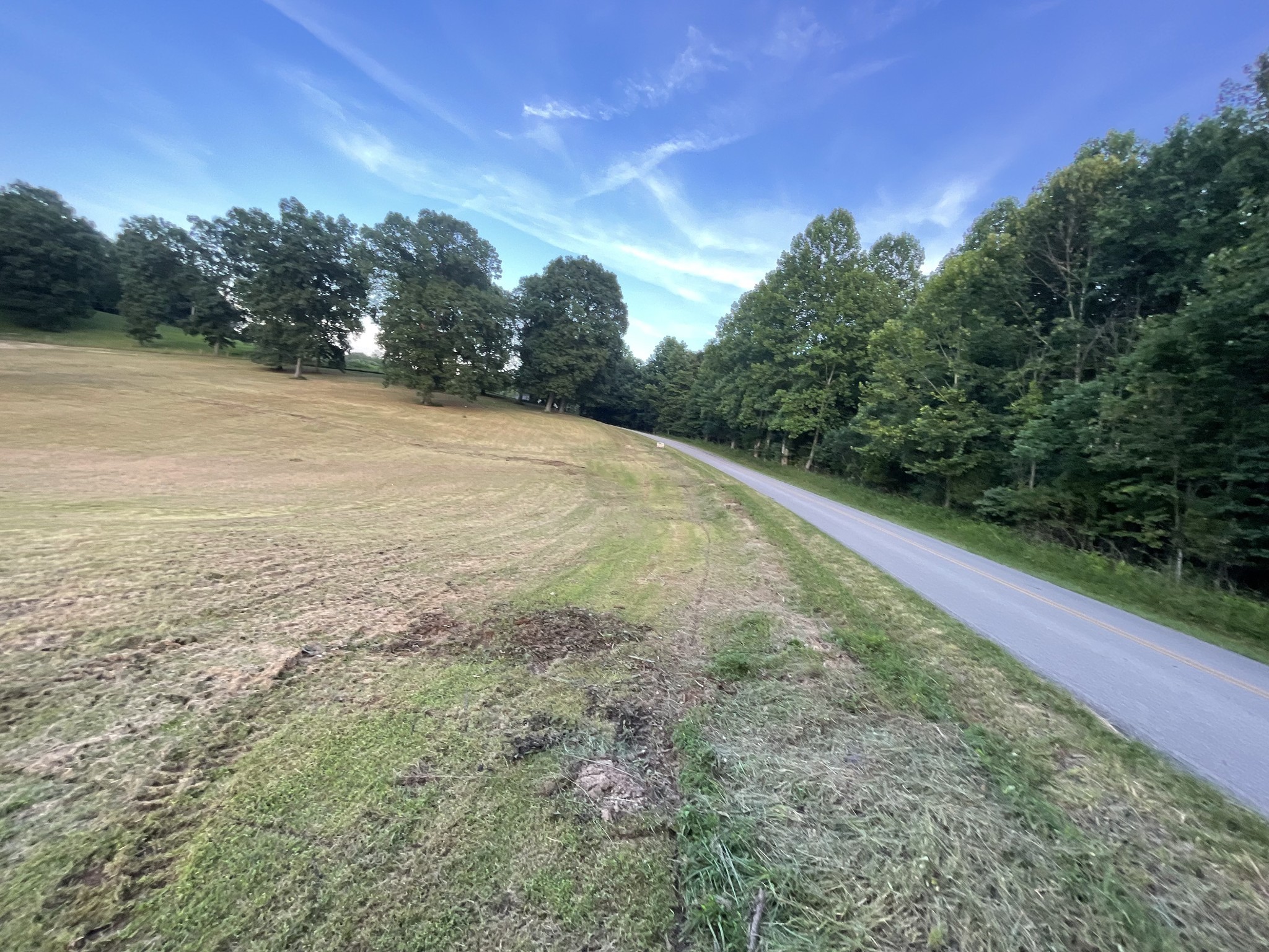 0 Hog Back Ridge Road Bethpage, TN 37022 - Photo 8 of 39 a view of a yard with an outdoor space