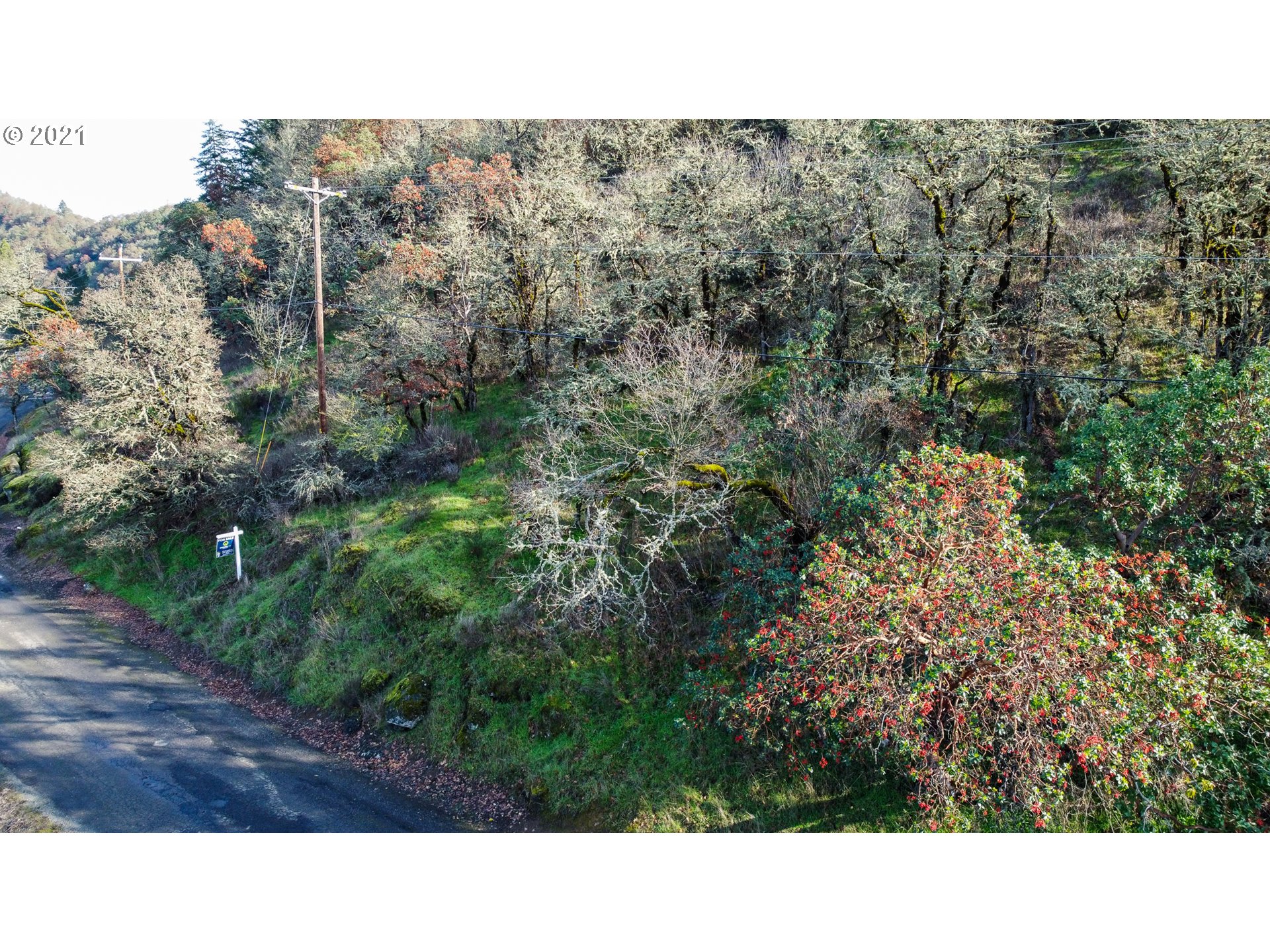 0 Shakemill Road Roseburg, OR 97470 - Photo 8 of 10 Gallery Image 8