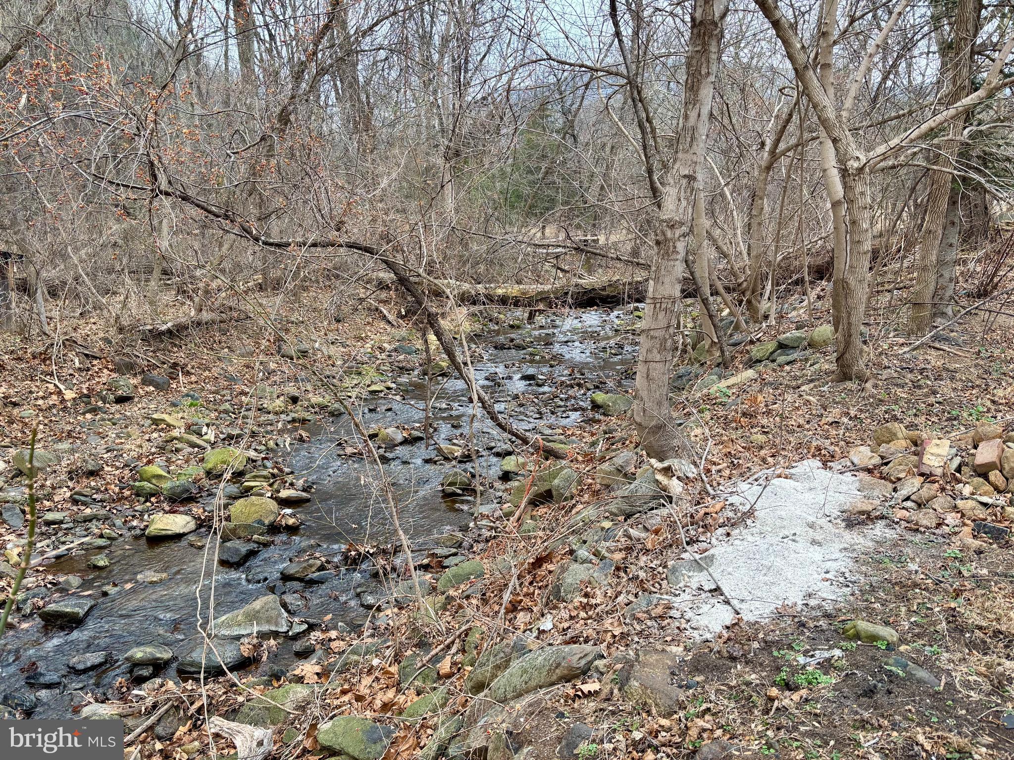 3485 Pine Grove Road Stanley, VA 22851 - Photo 5 of 47 a view of a yard with a tree