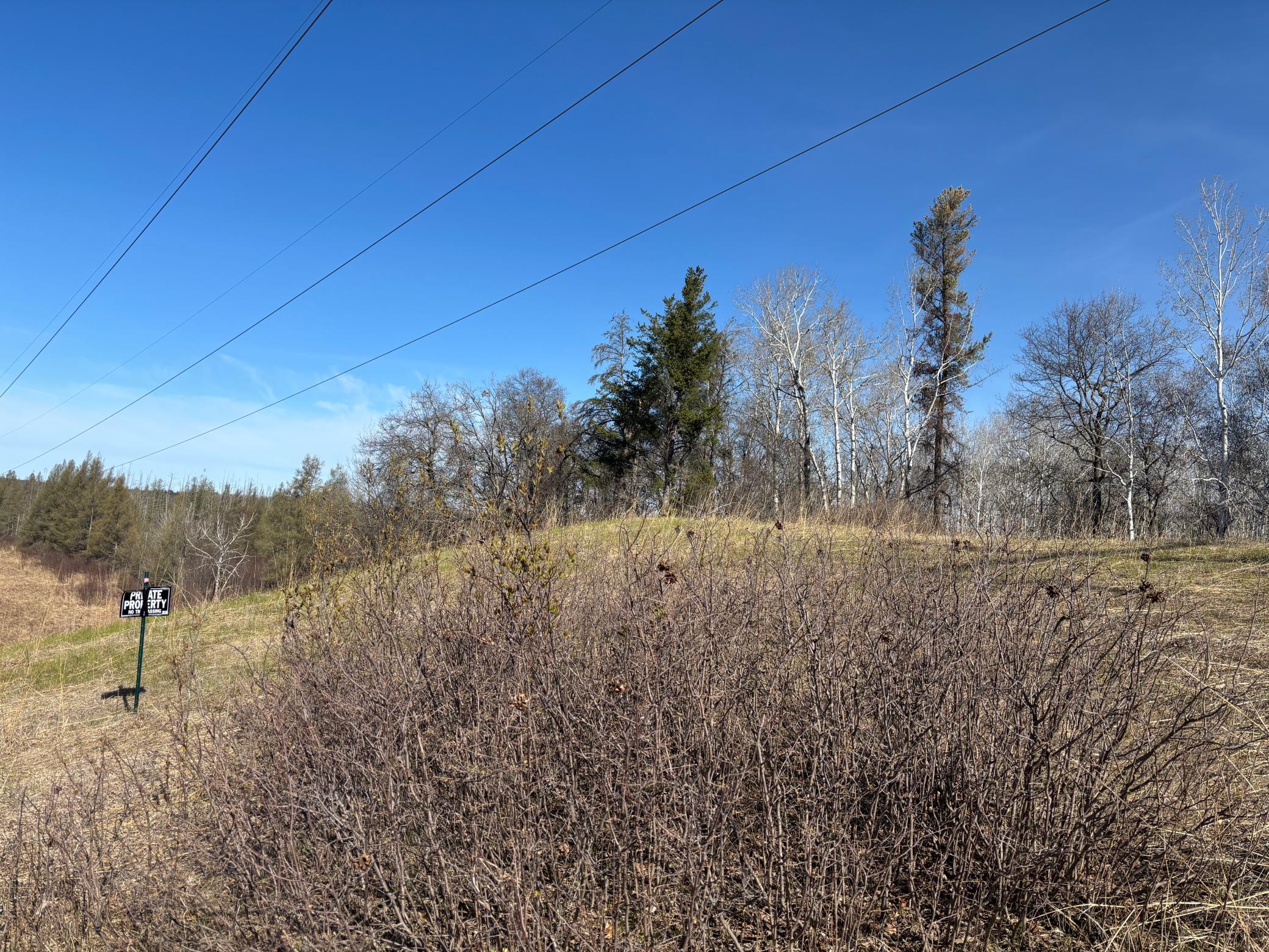 Tbd Arbor Road Park Rapids, MN 56470 - Photo 18 of 29