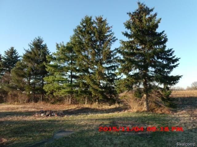 5266 Chartier Road Marine City, MI 48039 - Photo 2 of 11 GEDC8577.JPG