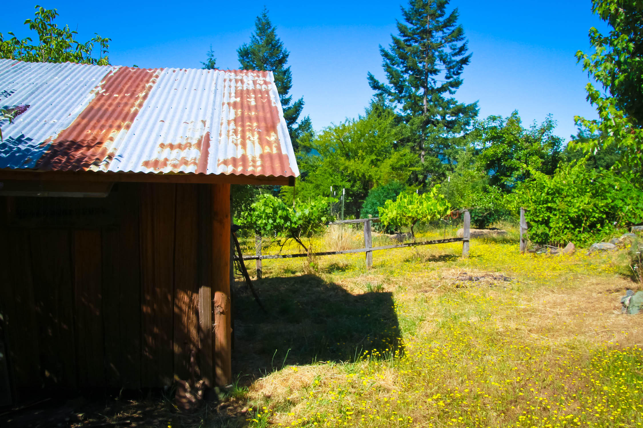 2292 Titlow Hill Road Blue Lake, CA 95525 - Photo 43 of 79