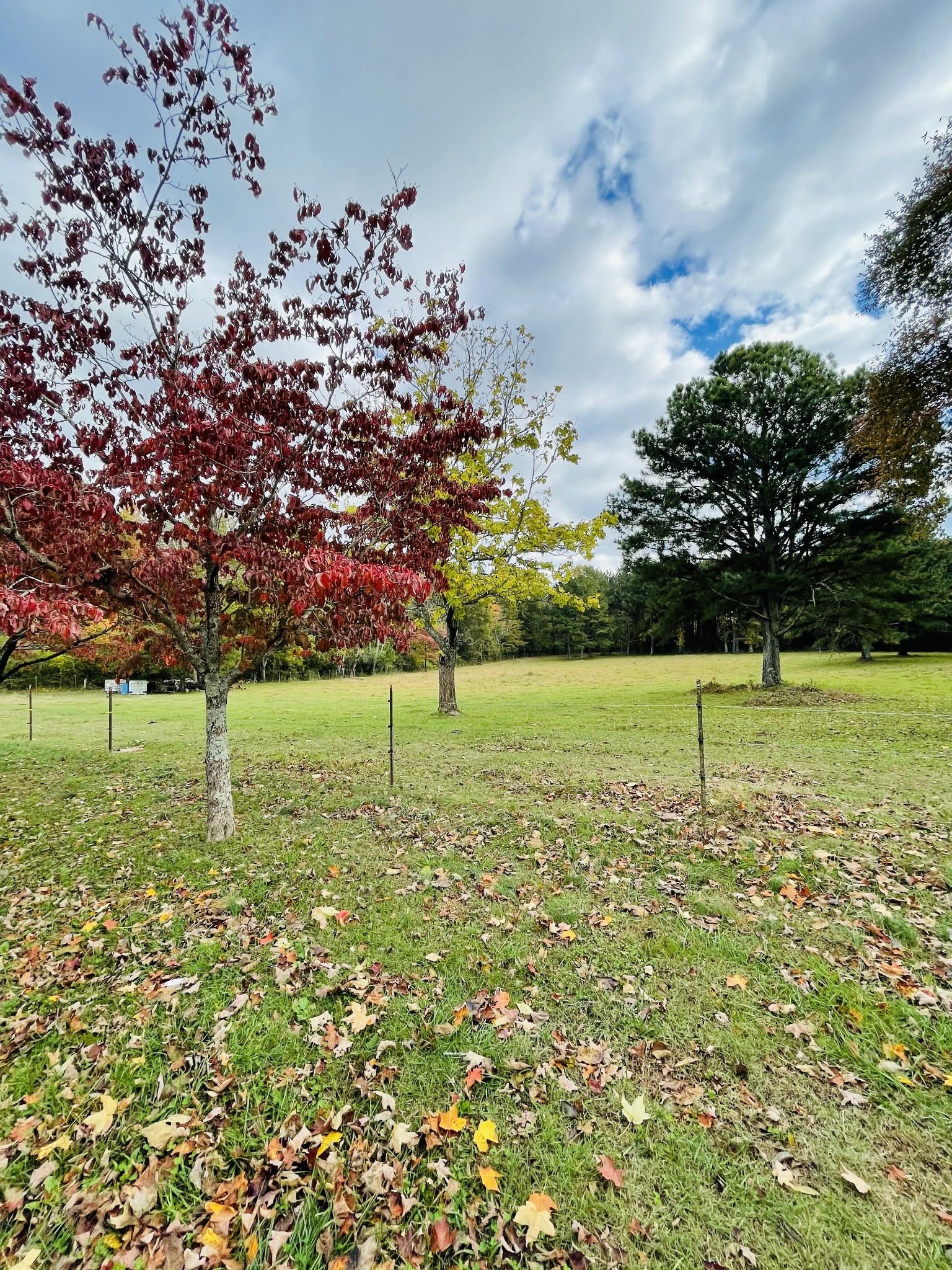 391 Pendleton Road Morrison, TN 37357 - Photo 1 of 35 a view of a golf course with a yard
