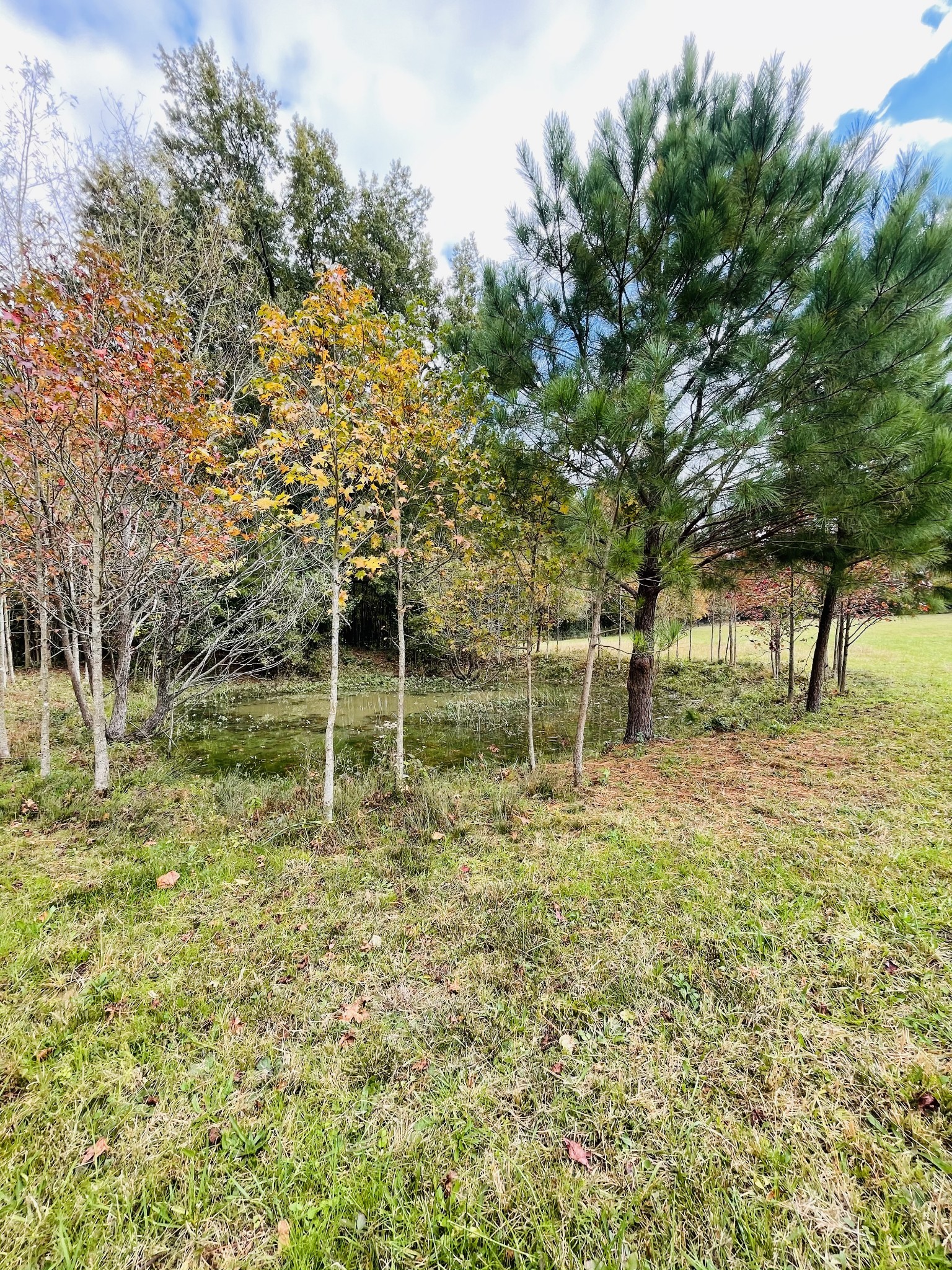 391 Pendleton Road Morrison, TN 37357 - Photo 17 of 35 a backyard of a house with lots of green space